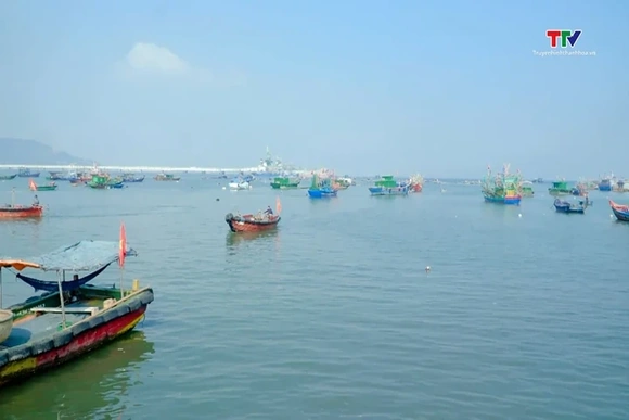 Đề xuất giảm phí, lệ phí hàng hải cho tàu thuyền Việt Nam về 0 đồng