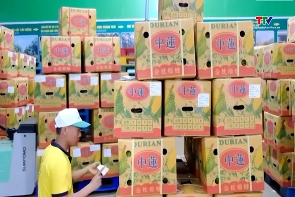 Xuất khẩu hàng hóa của cả nước trong 3 tháng đầu năm 2026 tăng 17%