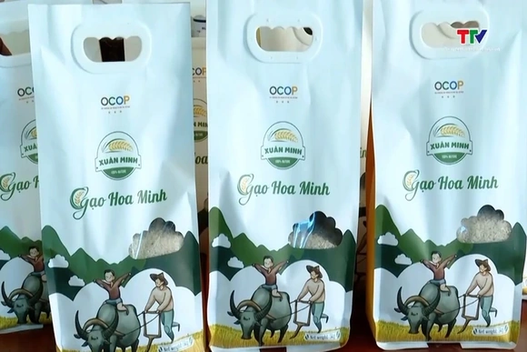 Mở rộng thị trường xuất khẩu gạo
