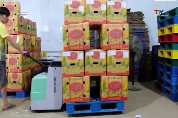Kim ngạch xuất khẩu nông lâm thủy sản tăng