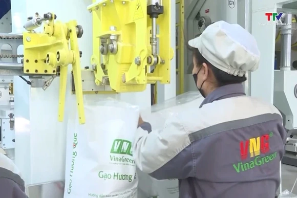 Giá gạo xuất khẩu dự báo tiếp tục dao động