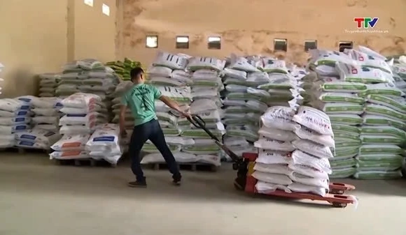 Giá thức ăn chăn nuôi dự báo sẽ tăng cao