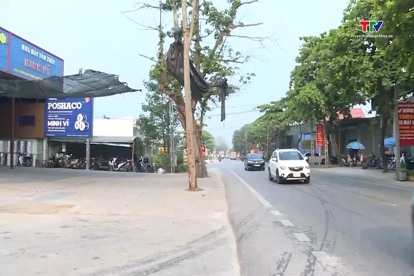 Sắp xếp hành lang giao thông đường bộ