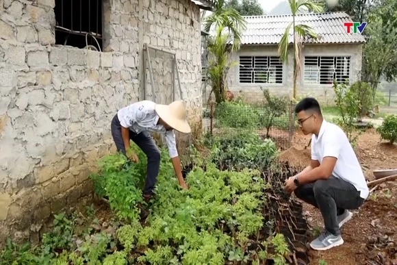 Thúc đẩy phát triển nông nghiệp, nông thôn bền vững