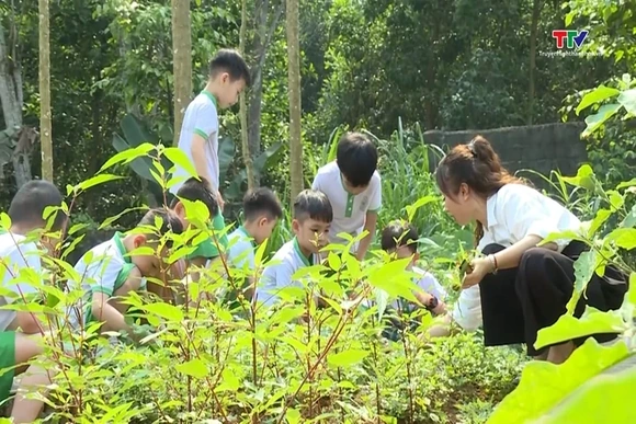 Vườn rau của bé