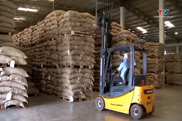 Việt Nam có nhiều cơ hội từ tái cấu trúc thương mại toàn cầu