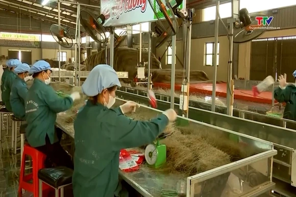 Tái cấu trúc toàn diện để nâng cao giá trị sản xuất nông nghiệp