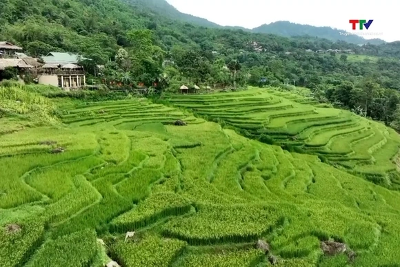 Khách quốc tế đến Việt Nam lập kỷ lục mới ngay quý I/2026