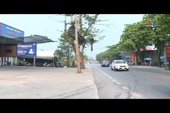 Sắp xếp hành lang giao thông đường bộ sau phản ánh