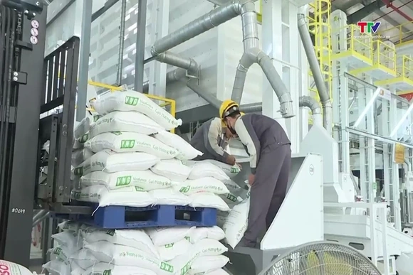 Nhiều mặt hàng nông sản xuất khẩu giảm giá