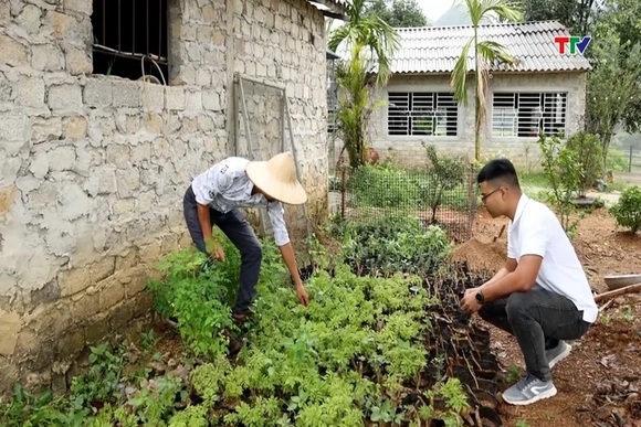 Thúc đẩy phát triển nông nghiệp, nông thôn bền vững