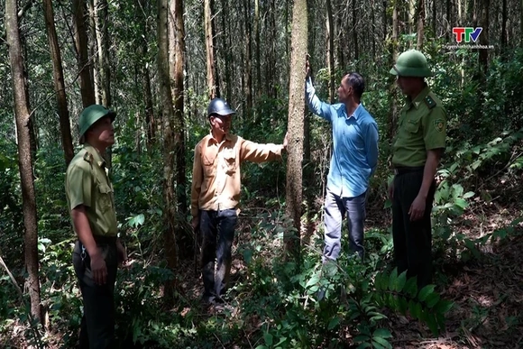 Rừng Thanh Hóa hướng tới tiêu chuẩn quốc tế
