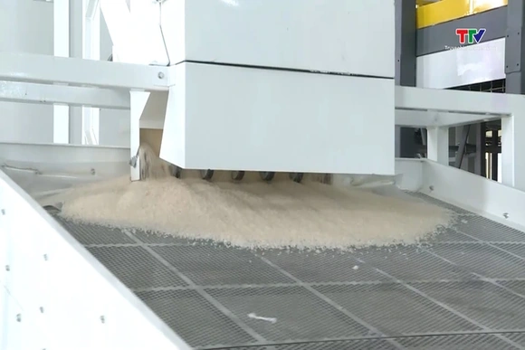 Giá gạo xuất khẩu dự báo tiếp tục dao động