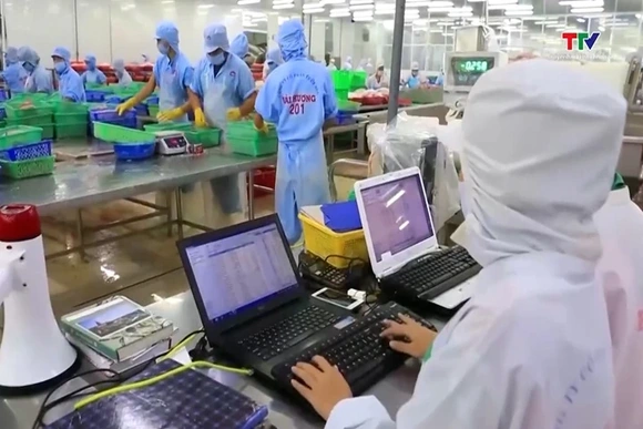 Thích ứng xu hướng tiêu dùng, mở rộng không gian thị trường