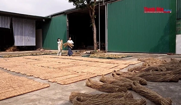 Thảm cói lót sàn  - Hơi thở truyền thống trong không gian sống hiện đại