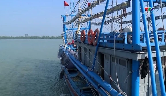 Thanh Hóa nâng hiệu quả quản lý tàu cá, chống IUU