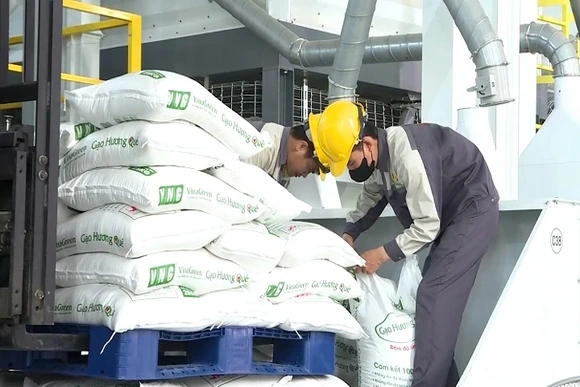 Giá lúa gạo đồng loạt tăng