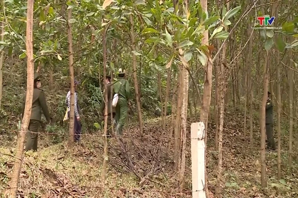 Thanh Hóa đã tiếp nhận từ Quỹ bảo vệ và phát triển rừng Việt Nam trên 198 tỷ đồng