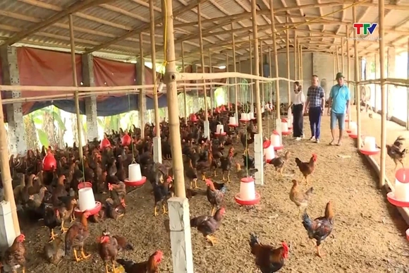 Bảo hiểm thay đổi tư duy sản xuất nông nghiệp