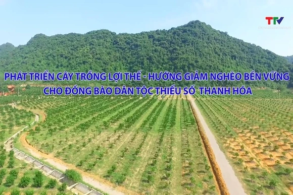 Chuyên mục Dân tộc miền núi 12/04/2026