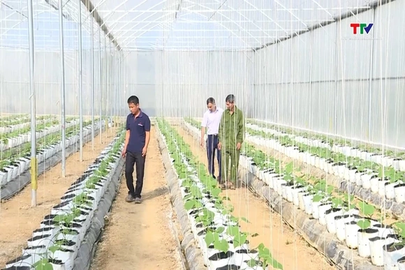 Xã Định Hòa phát triển nông nghiệp công nghệ cao gắn với sản xuất hàng hóa
