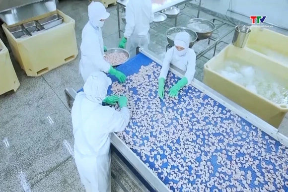 Quý 2 năm 2026, thị trường Trung Quốc là động lực cho tăng trưởng của xuất khẩu thủy sản