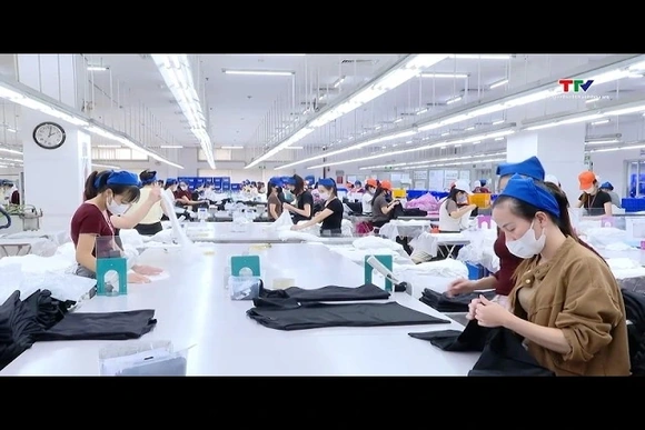 Doanh nghiệp xuất khẩu Thanh Hóa linh hoạt vượt khó, giữ nhịp tăng trưởng