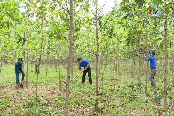 Thanh Hóa đã tiếp nhận từ Quỹ bảo vệ và phát triển rừng Việt Nam trên 198 tỷ đồng