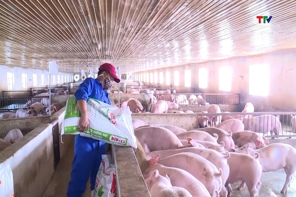 Giá đầu vào leo thang, nông nghiệp đối mặt sức ép kép