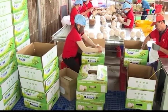 Xuất khẩu rau quả của Việt Nam sang Trung Quốc tăng mạnh
