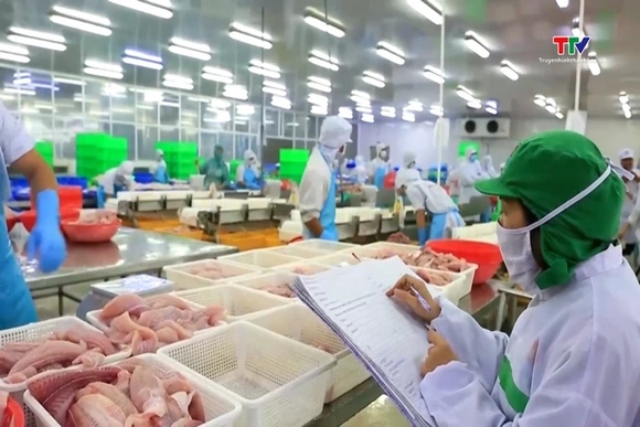 Thích ứng xu hướng tiêu dùng, mở rộng không gian thị trường