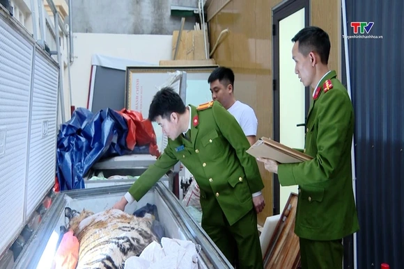 Xử lý nghiêm vi phạm liên quan động vật hoang dã