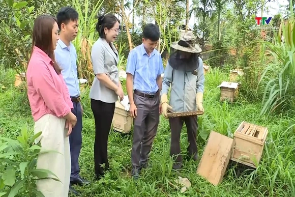 Hiệu quả từ mô hình nuôi ong mật tại xã Lương Sơn
