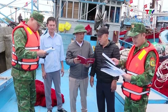 Thanh Hóa nâng hiệu quả quản lý tàu cá, chống IUU