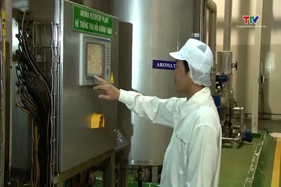 Cà phê xuất khẩu tăng lượng, giảm giá trị