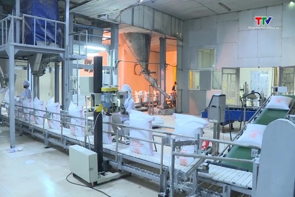 Giá đường thế giới tăng, trong nước giảm sâu
