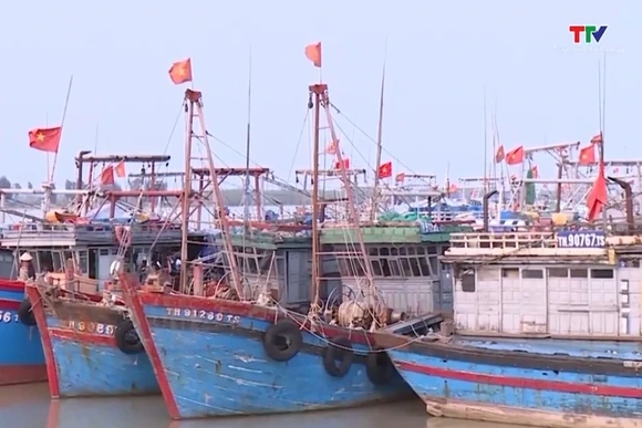 Sản lượng khai thác thủy sản quý 1 năm 2026 đạt gần 32.500 tấn