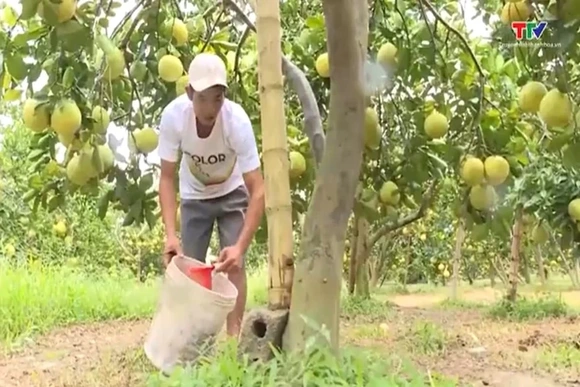 Nút thắt cần tháo gỡ để tín dụng xanh thực sự bứt phá