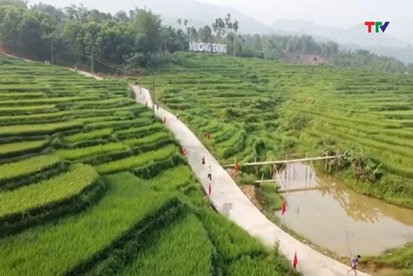 Sôi động giải chạy “Mường Đeng – Chạm mùa lúa 2026”
