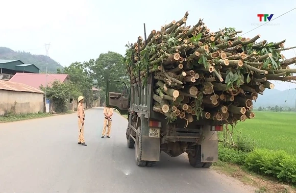 Đảm bảo trật tự an toàn giao thông trên tuyến tỉnh lộ 516