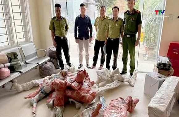Công an xã Cẩm Thạch: Phát hiện, tạm giữ 15 phôi cây Muội hồng không rõ nguồn gốc