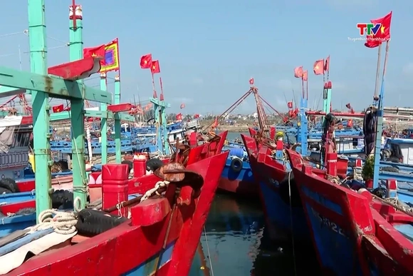 Thanh Hóa triển khai điều tra, đánh giá nghề cá thương phẩm