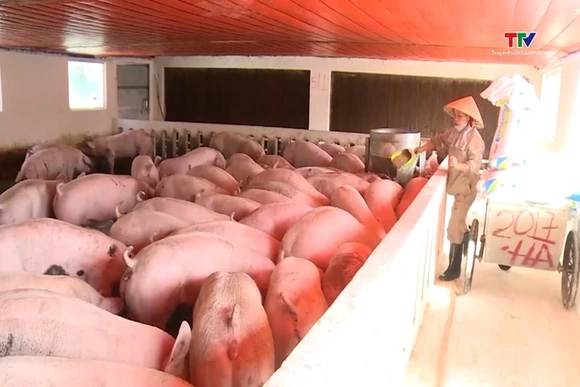 Ngăn chặn nguy cơ xâm nhập virus lở mồm long móng vào Việt Nam