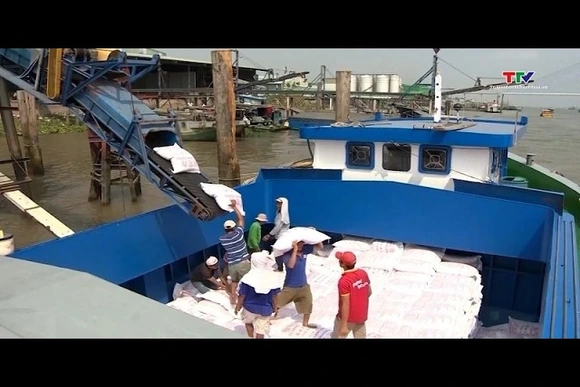 Xuất khẩu gạo Việt Nam chịu sức ép, phụ thuộc thị trường truyền thống