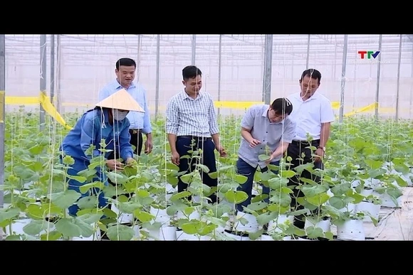 Thanh Hóa tích tụ được hơn 3.230 ha đất nông nghiệp