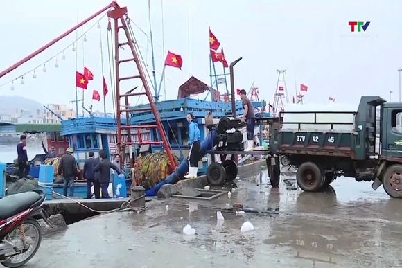 Sản lượng khai thác thủy sản quý 1 năm 2026 đạt gần 32.500 tấn