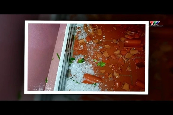 Thanh Hóa chủ động phòng ngừa, ứng phó và khắc phục hậu quả thiên tai