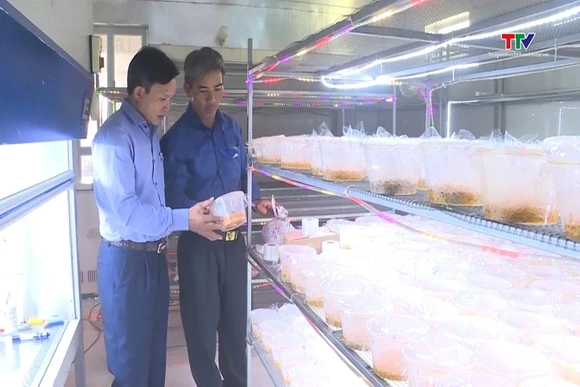 Thu hút đầu tư - Động lực mở rộng không gian phát triển