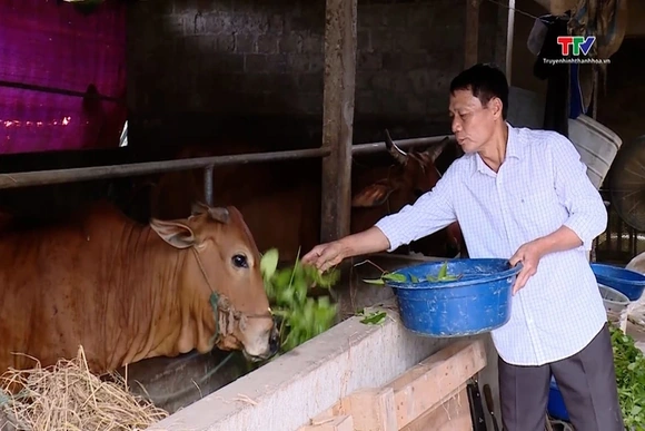 Mở lối hoàn lương