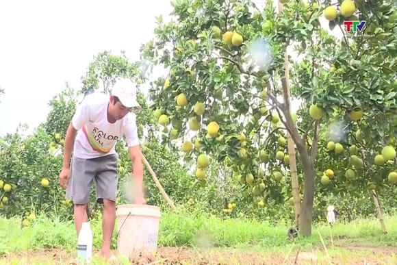 Nút thắt cần tháo gỡ để tín dụng xanh thực sự bứt phá